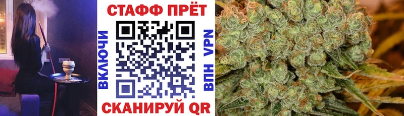 Где купить наркоту Куровское Псилоцибиновые грибы  Конопля  СК  АМФ 